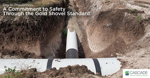 Dig-In Prevention: Commitment to Safety Through Gold Shovel Standard